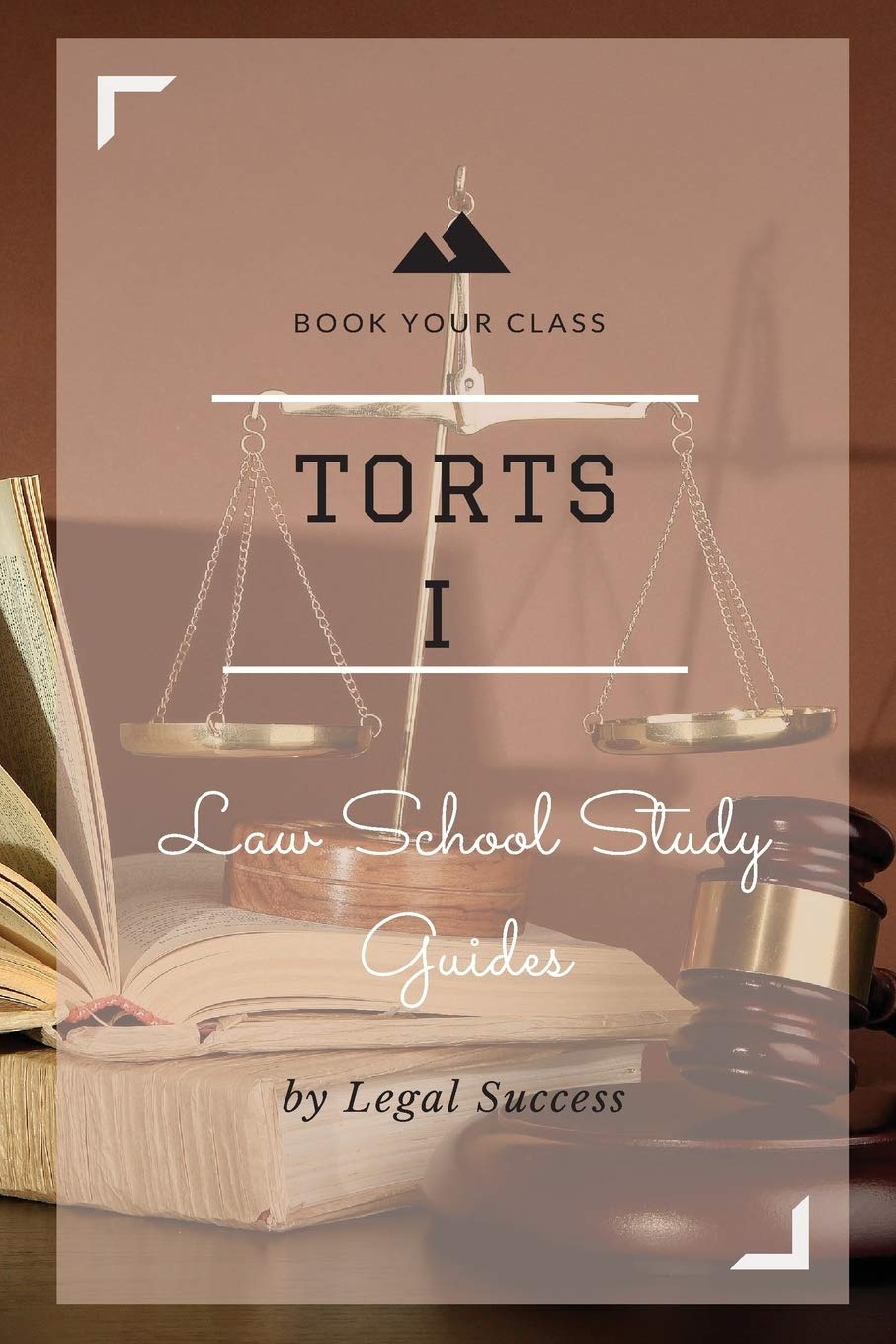 Law School Study Guides: Torts I Outline,Used
