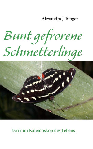 Bunt gefrorene Schmetterlinge: Lyrik im Kaleidoskop des Lebens (German Edition),Used