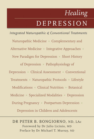 Healing Depression: Integrated Naturopathic & Conventional Treatments (Professional Edition)