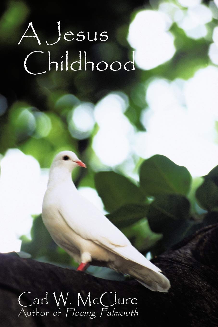 A Jesus Childhood,Used