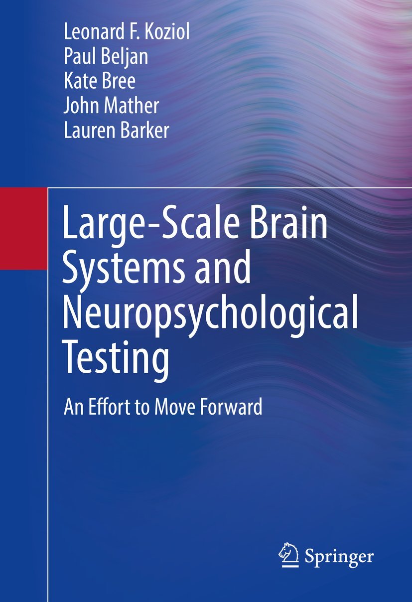 LargeScale Brain Systems and Neuropsychological Testing: An Effort to Move Forward (Springerbriefs in Neuroscience),Used