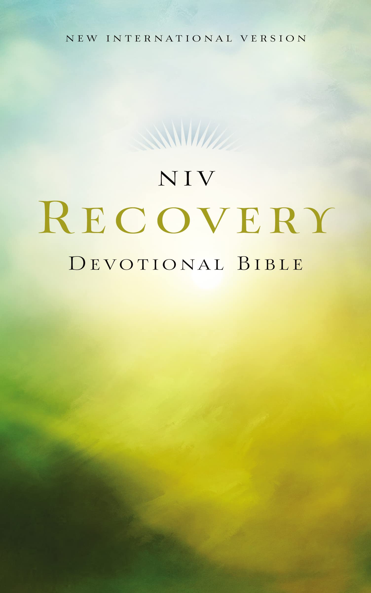 NIV, Recovery Devotional Bible, Paperback,Used