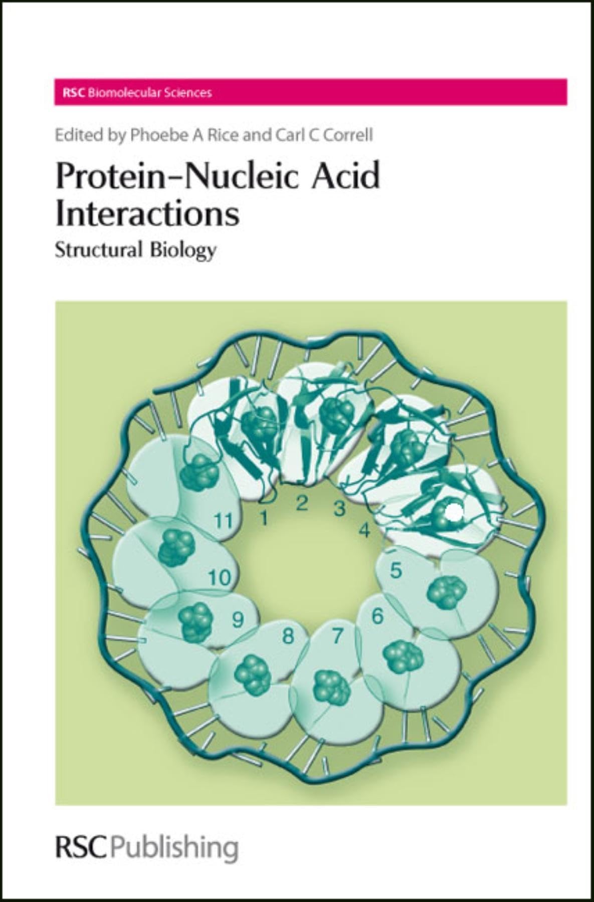 ProteinNucleic Acid Interactions: Structural Biology (RSC Biomolecular Sciences, Volume 11),Used