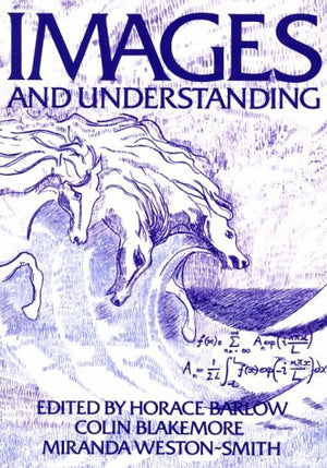 Images and Understanding: Thoughts about Images: Ideas about Understanding,Used