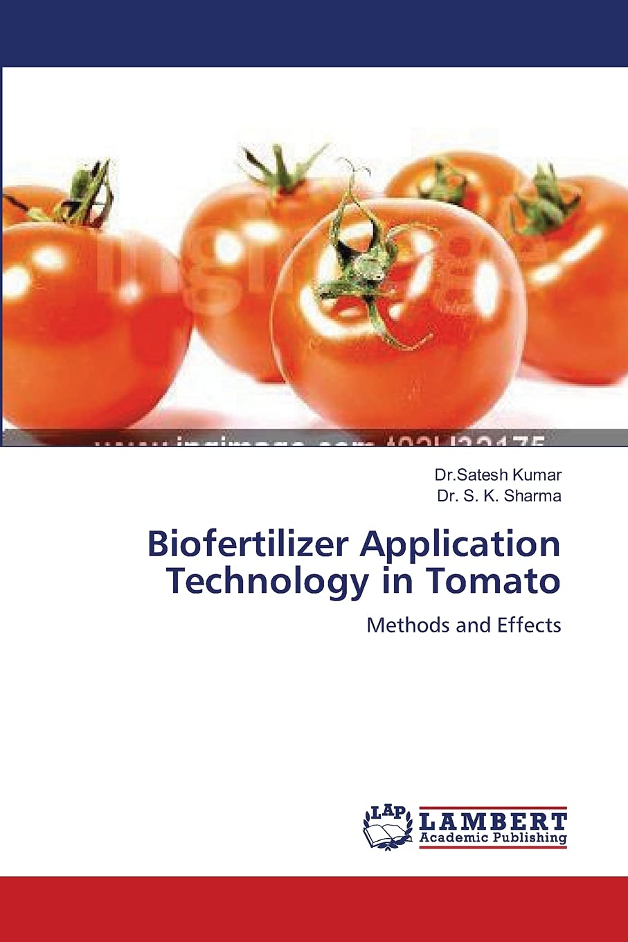 Biofertilizer Application Technology in Tomato: Methods and Effects,Used
