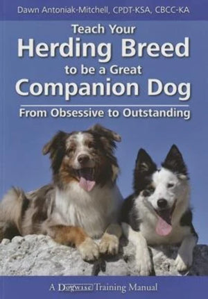 Teach Your Herding Breed To Be A Great Companion Dog: From Obsessive To Outstanding