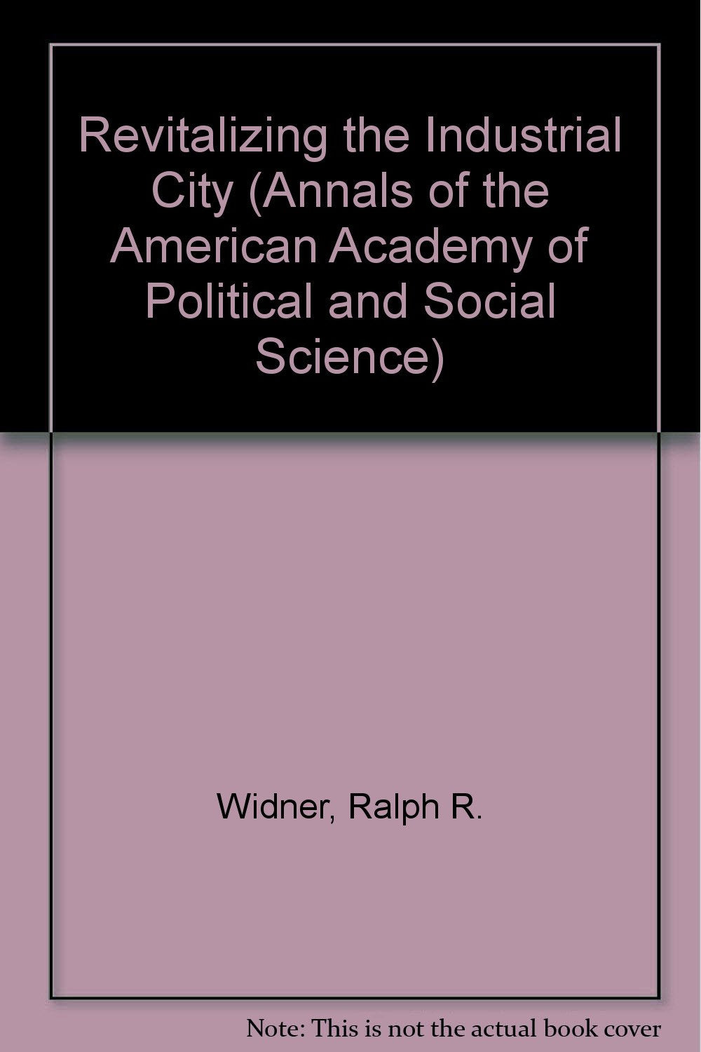 Revitalizing the Industrial City (Annals of the American Academy of Political & Social Science)