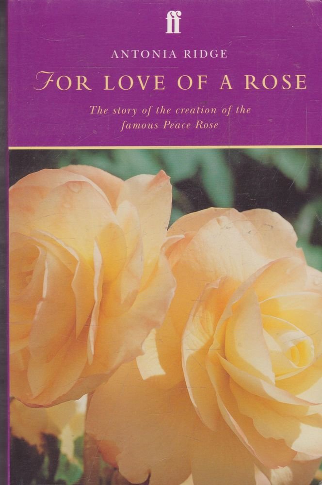 For Love of a Rose,Used