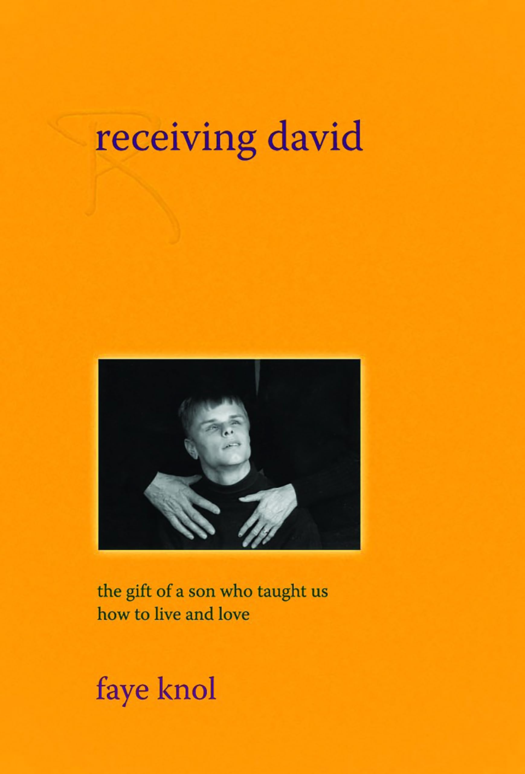 Receiving David: The Gift of a Son Who Taught Us How to Live and Love,Used