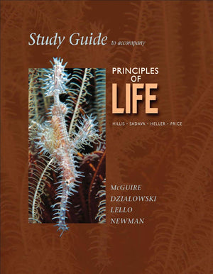 Study Guide to Accompany Principles of Life,Used