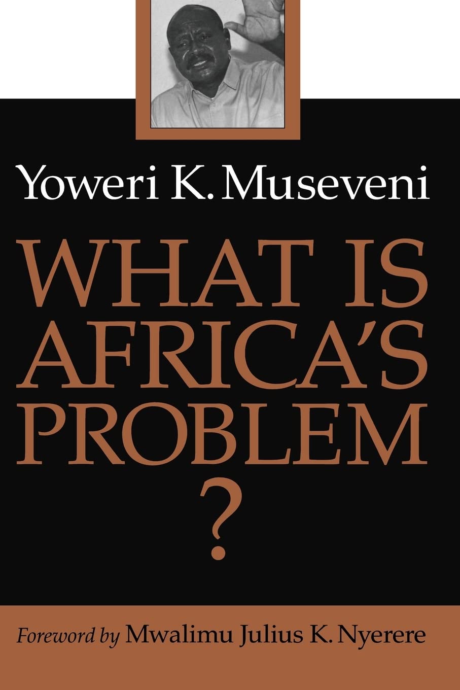 What Is Africa's Problem?,Used