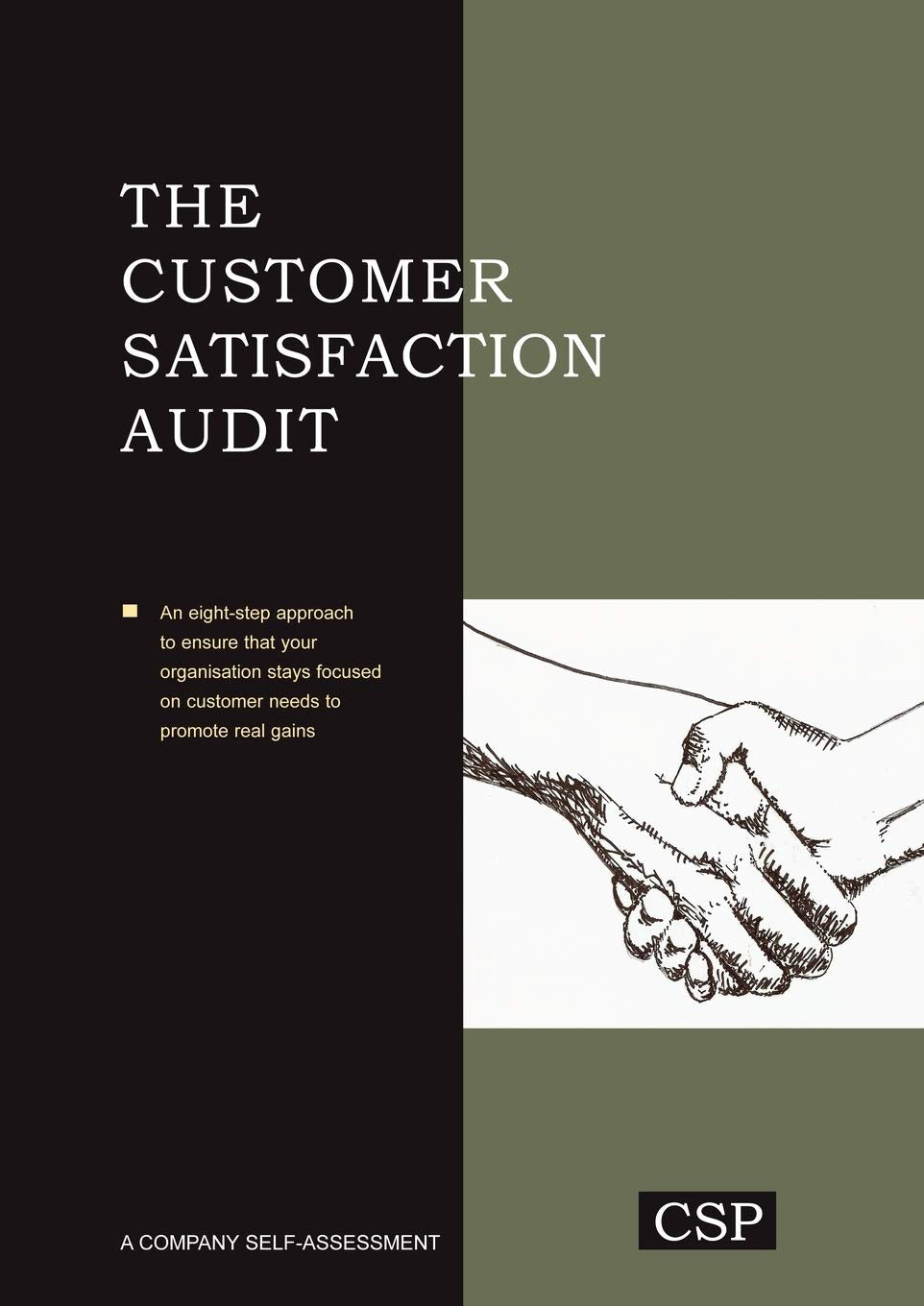 The Customer Satisfaction Audit,Used