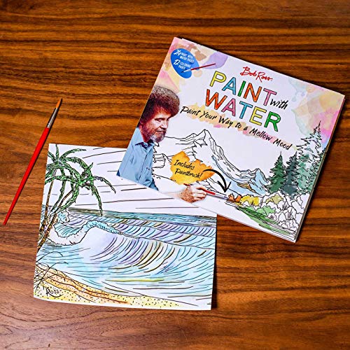 Bob Ross Paint with Water,New