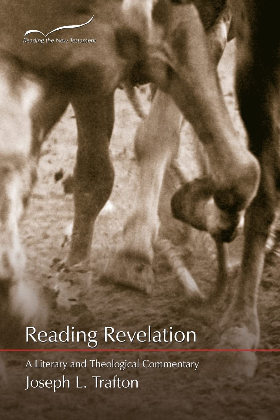 Reading Revelation: A Literary and Theological Commentary (Reading the New Testament (Smyth & Helwys)),Used