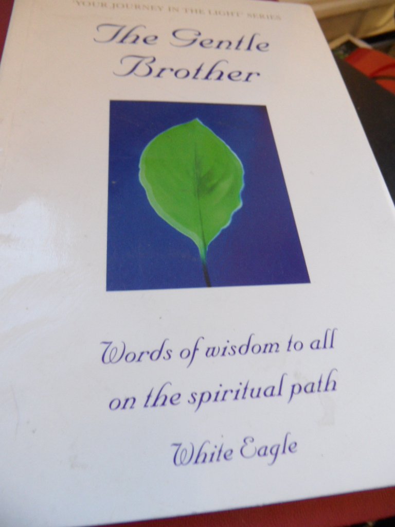 Gentle Brother,Used