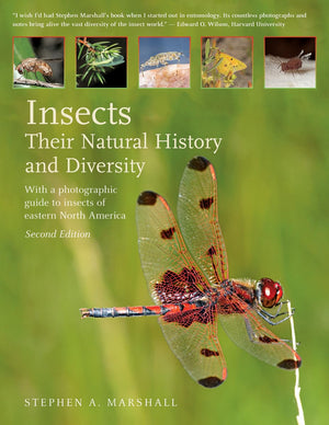 Insects: Their Natural History and Diversity: With a Photographic Guide to Insects of Eastern North America,Used