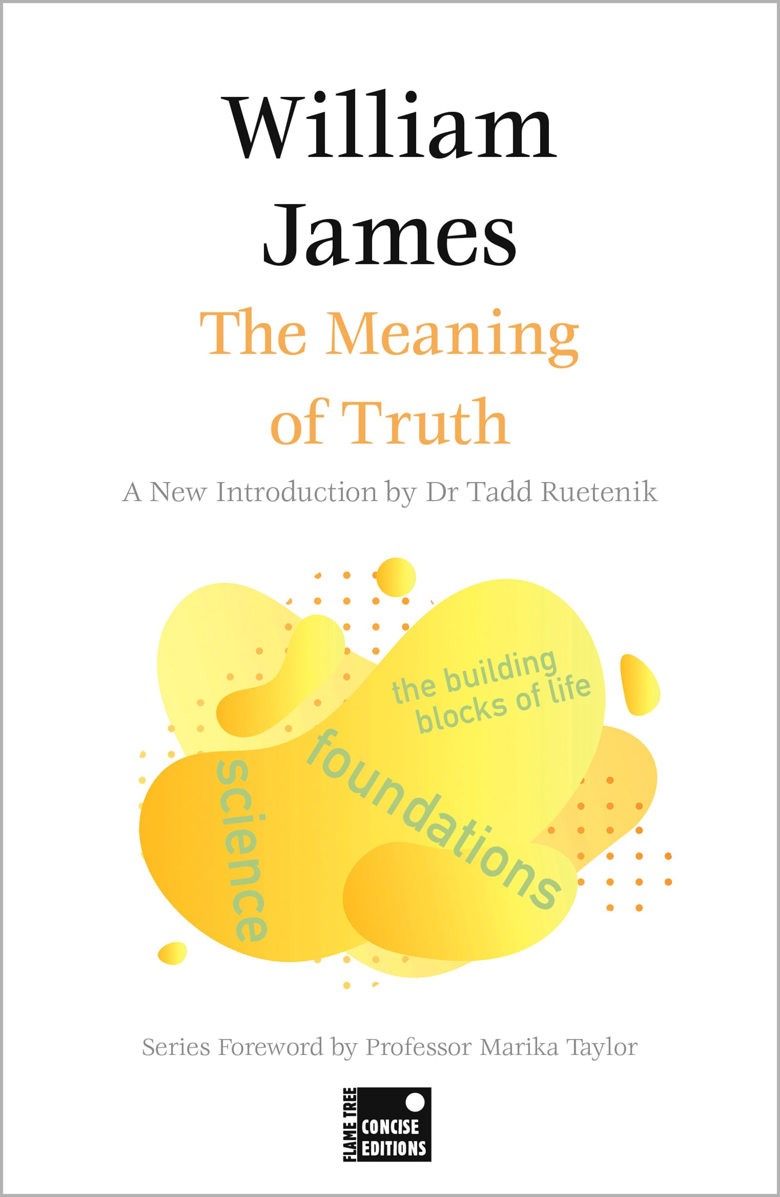 The Meaning of Truth (Concise Edition) (Foundations),New