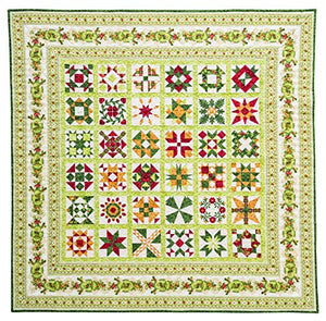 Harriets Journey from Elm Creek Quilts: 100 Sampler Blocks Inspired by the BestSelling Novel Circle of Quilters,Used