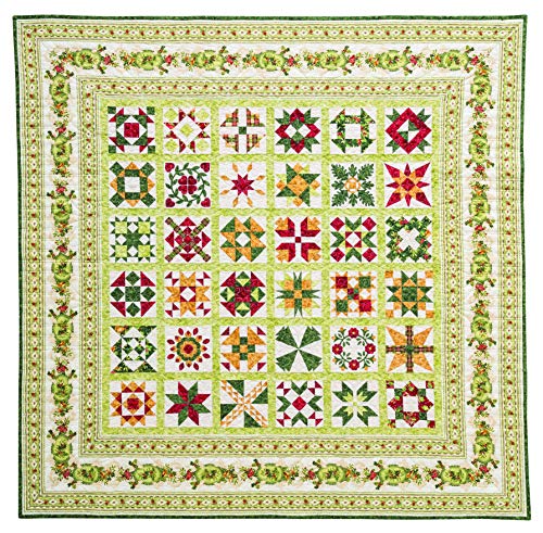 Harriets Journey from Elm Creek Quilts: 100 Sampler Blocks Inspired by the BestSelling Novel Circle of Quilters,Used