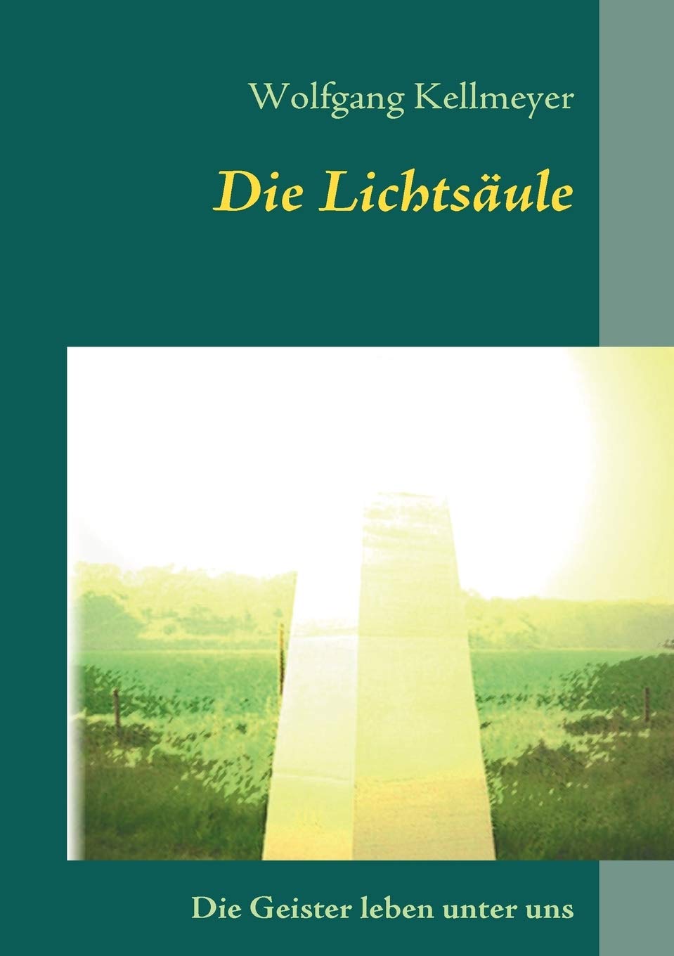 Die Lichtsule: Geister leben unter uns!! (German Edition),Used