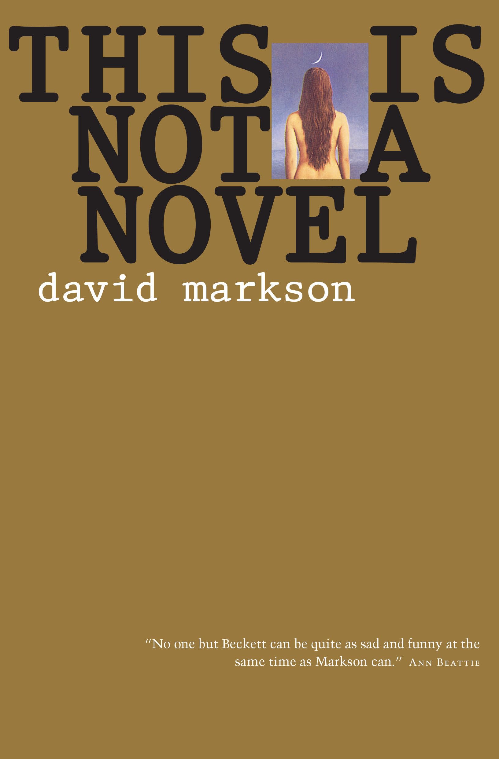 This Is Not a Novel,Used