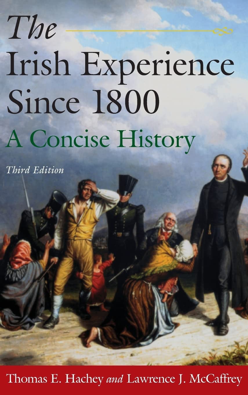 The Irish Experience Since 1800: A Concise History: A Concise History,Used