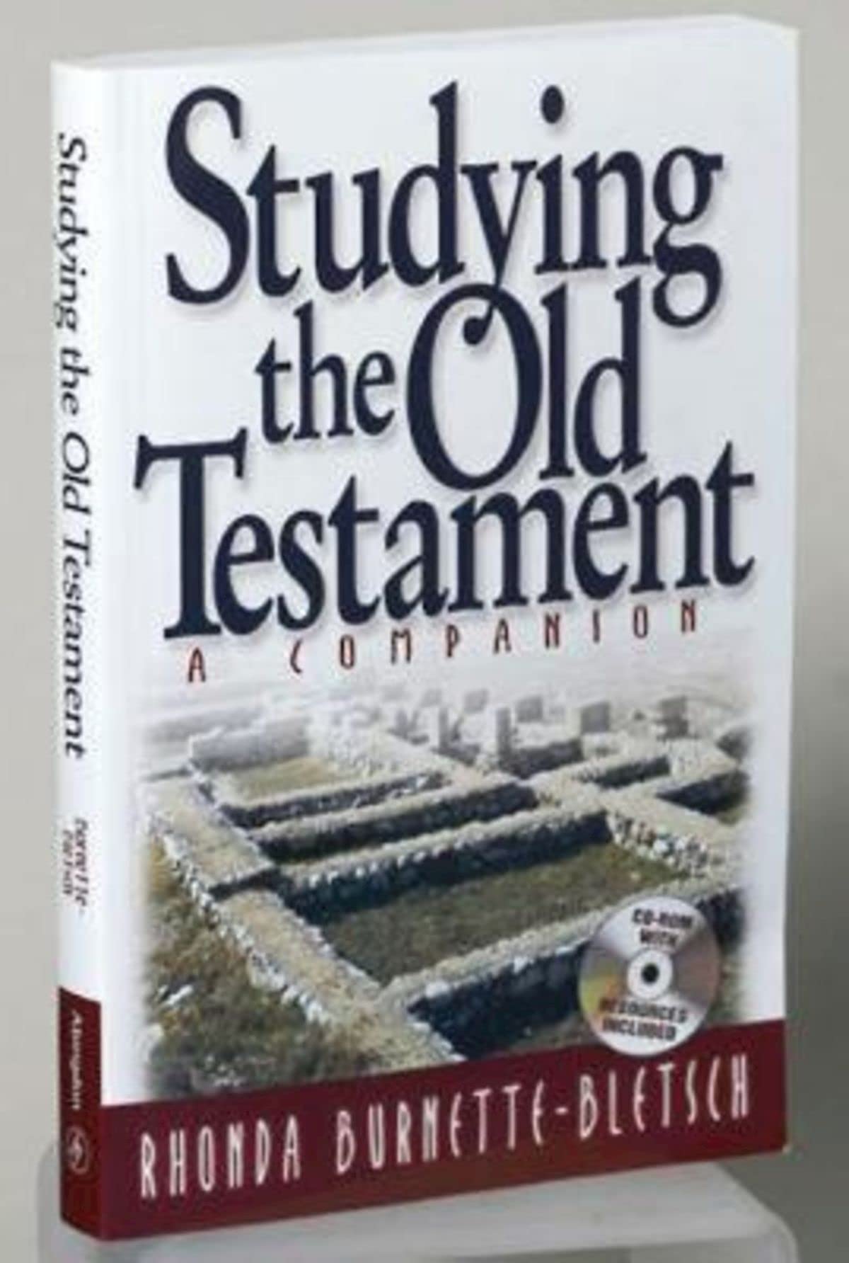 Studying The Old Testament: A Companion,New