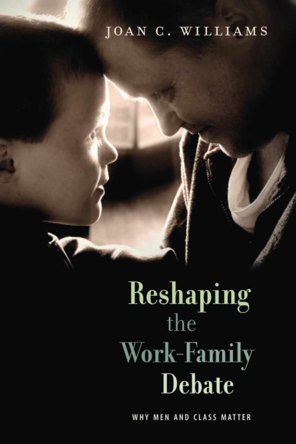 Reshaping the WorkFamily Debate: Why Men and Class Matter (The William E. Massey Sr. Lectures in American Studies),Used