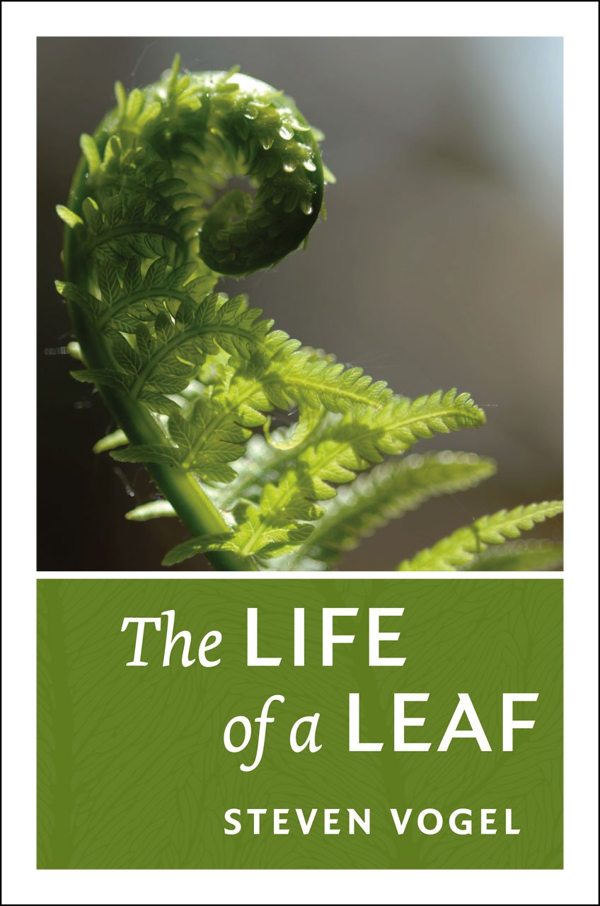 The Life of a Leaf,New