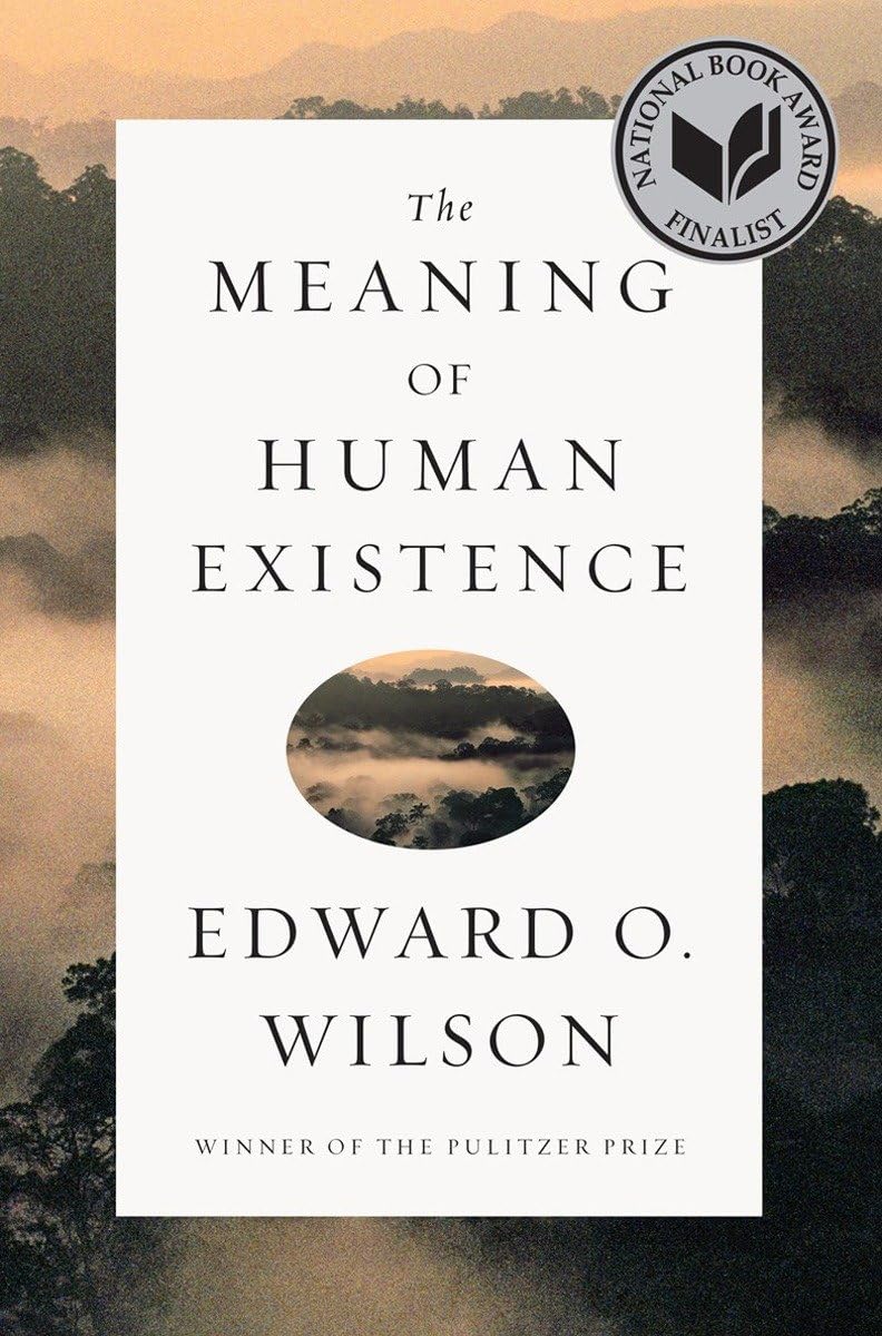 The Meaning of Human Existence,Used