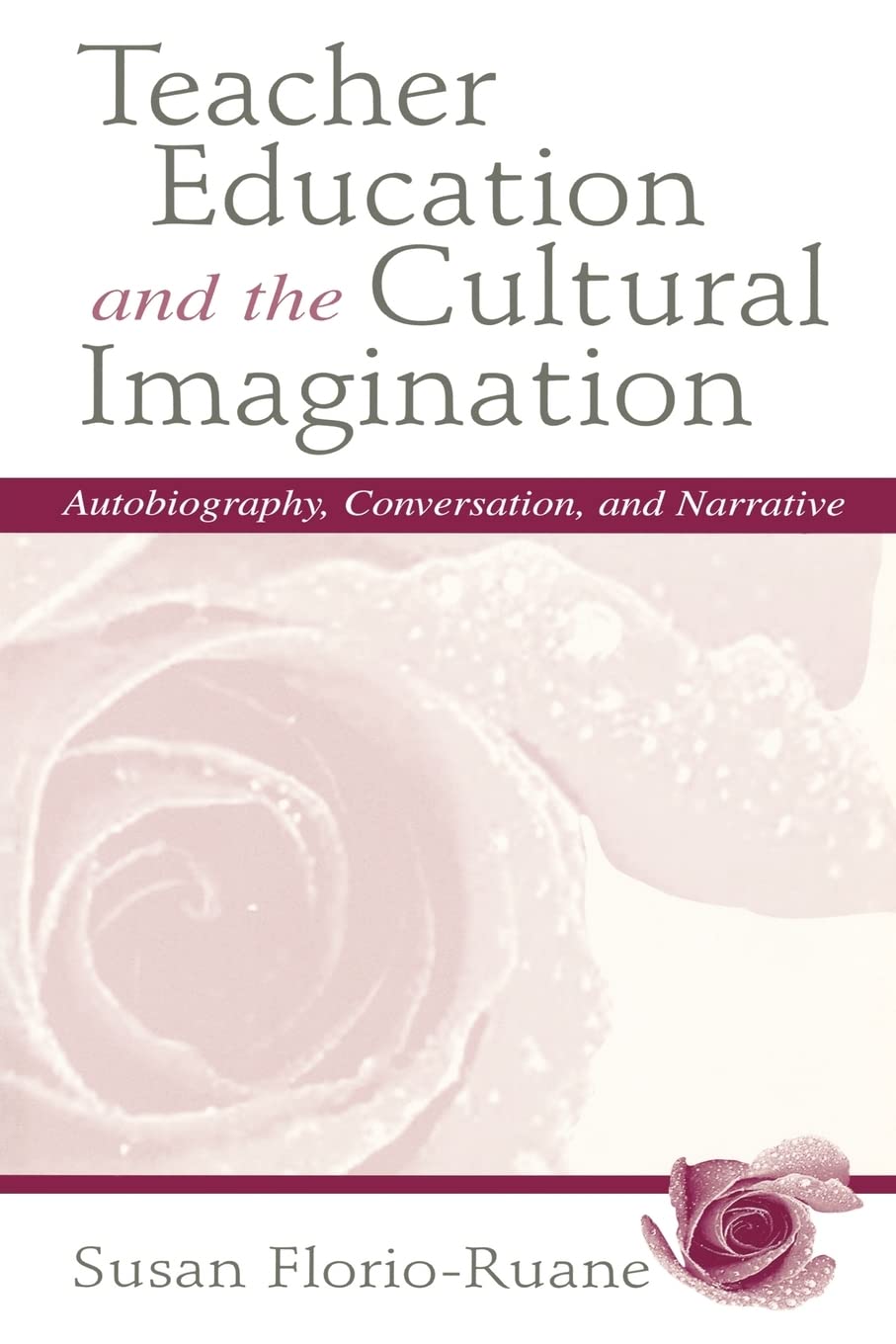Teacher Education and the Cultural Imagination,Used