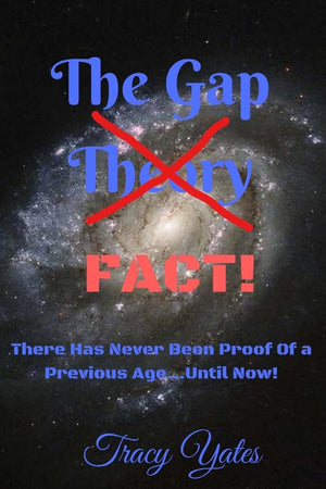 The Gap Fact!,Used