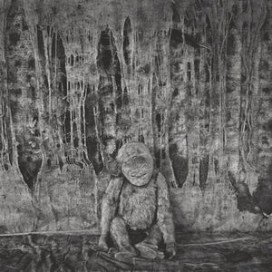 Roger Ballen: Boarding House,Used