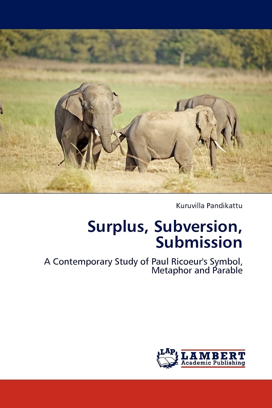 Surplus, Subversion, Submission: A Contemporary Study of Paul Ricoeur's Symbol, Metaphor and Parable,Used