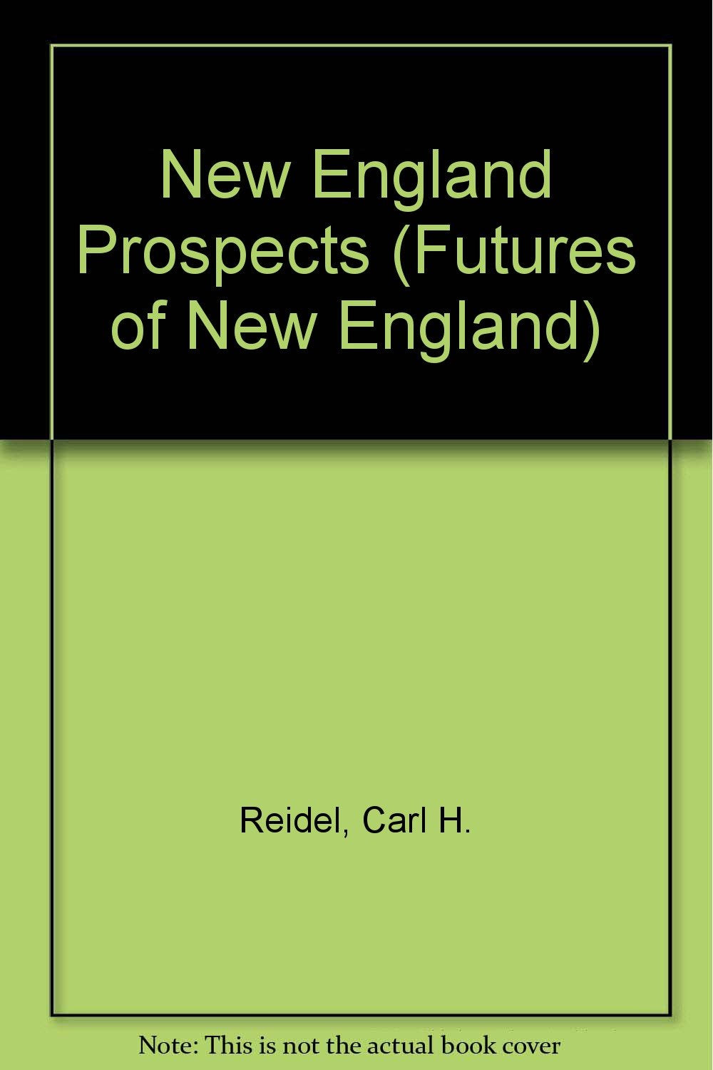 New England Prospects: Essays on the Future of a Region,Used