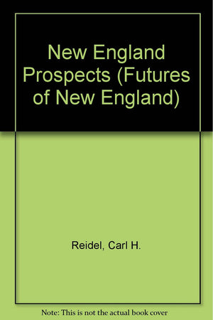 New England Prospects: Essays on the Future of a Region,Used
