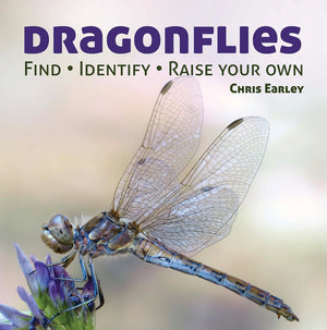 Dragonflies: Catching  Identifying  How And Where They Live