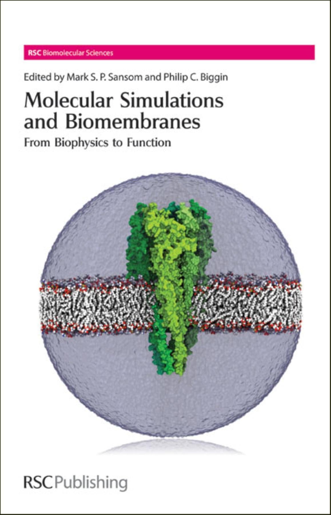 Molecular Simulations and Biomembranes: From Biophysics to Function (RSC Biomolecular Sciences, Volume 20),Used