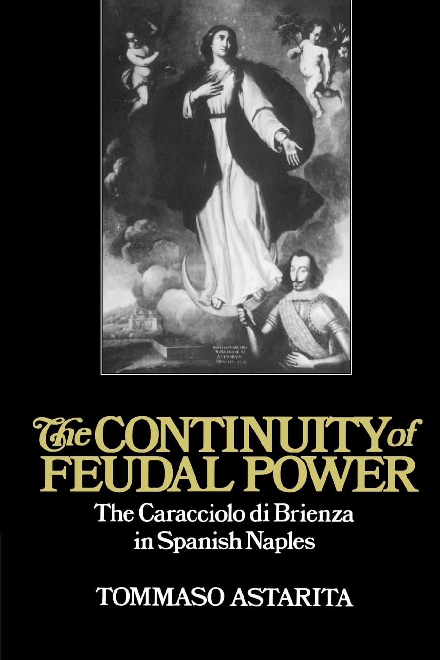 The Continuity of Feudal Power: The Caracciolo Di Brienza in Spanish Naples (Cambridge Studies in Early Modern History),Used