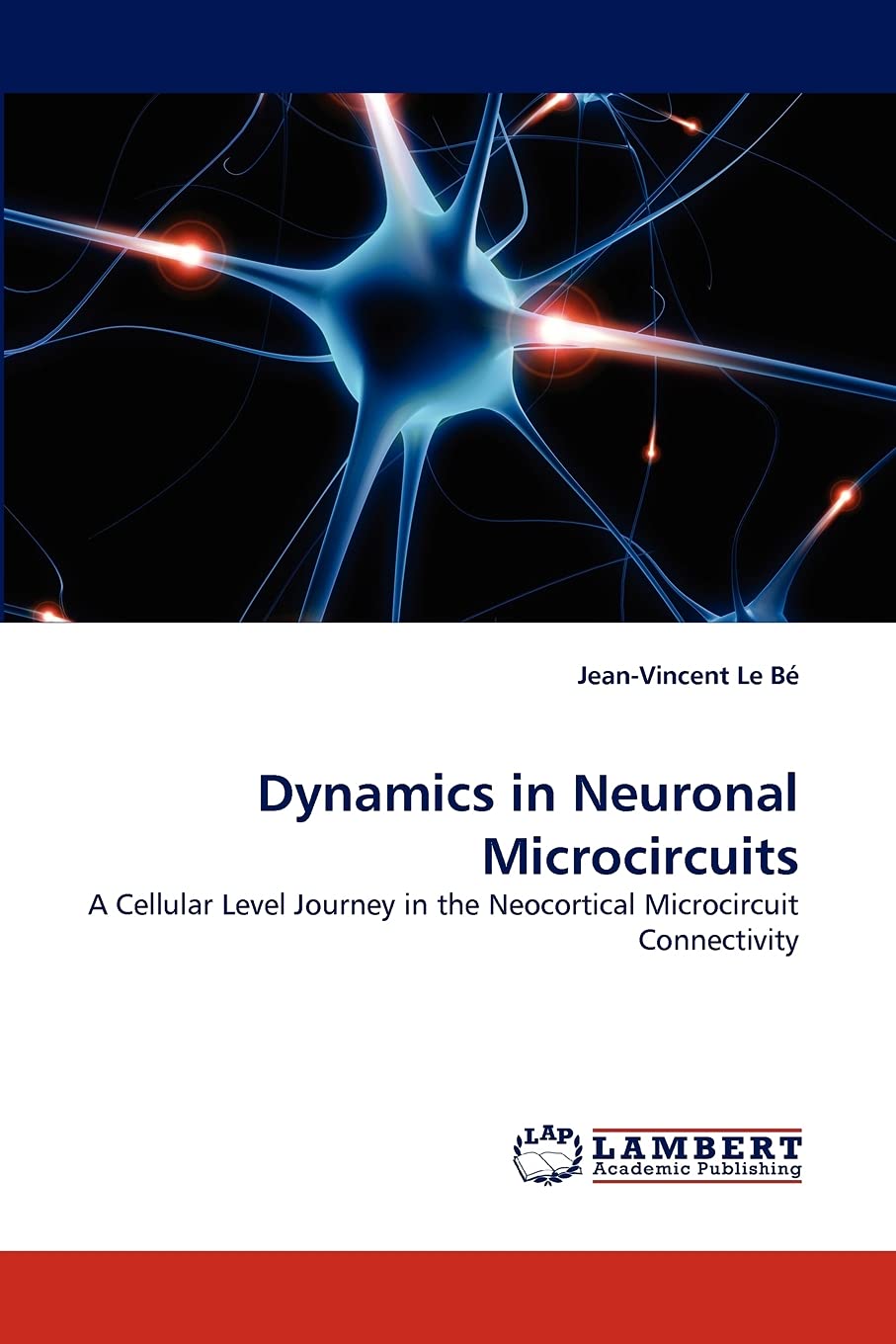 Dynamics in Neuronal Microcircuits: A Cellular Level Journey in the Neocortical Microcircuit Connectivity,Used