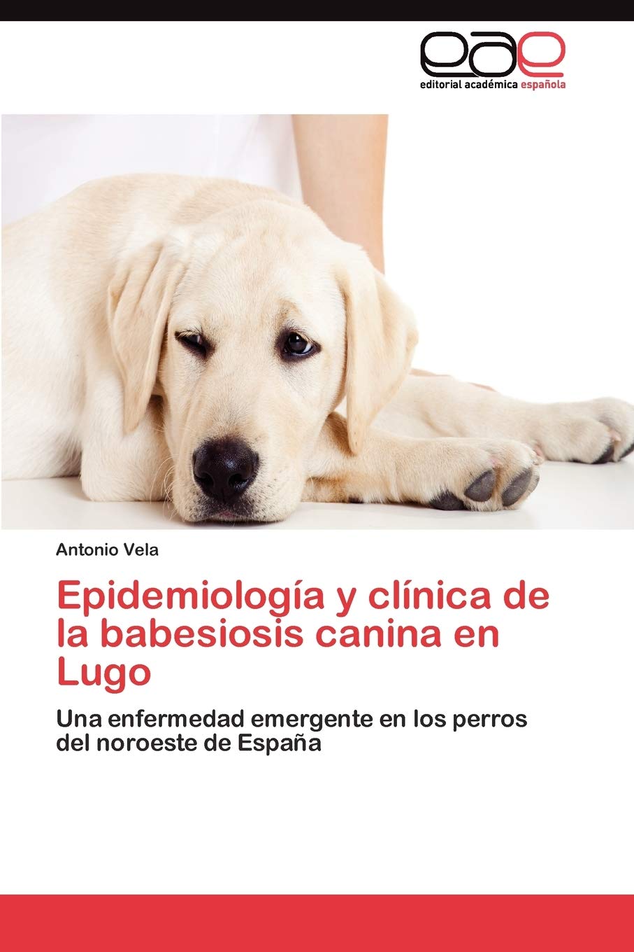 Epidemiologa y clnica de la babesiosis canina en Lugo: Una enfermedad emergente en los perros del noroeste de Espaa (Spanish,Used