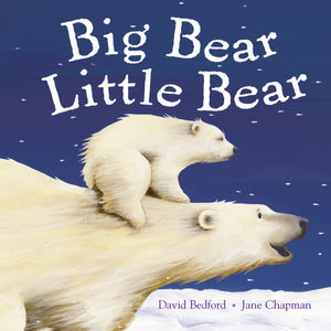 Big Bear Little Bear. David Bedford & Jane Chapman,Used