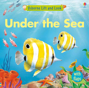 Under The Sea (Usborne Lift And Look Board Books)