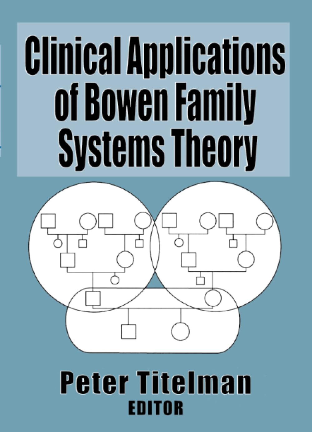 Clinical Applications of Bowen Family Systems Theory (Haworth Marriage and the Family),Used