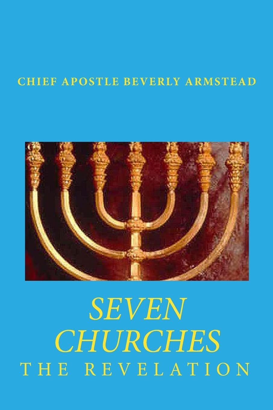 Seven Churches The Revelation,Used