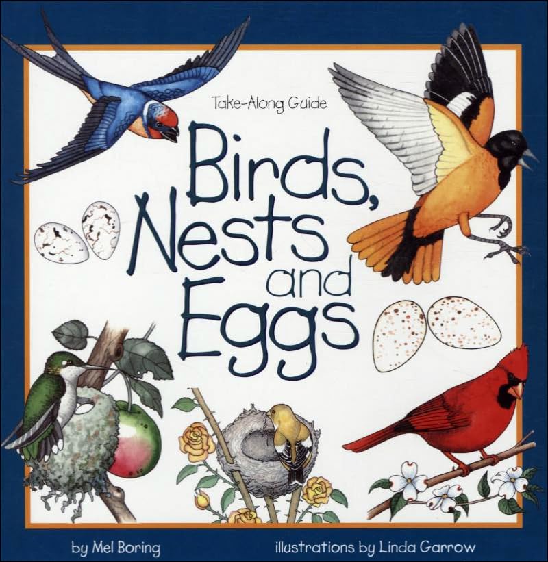 Birds, Nests, and Eggs,New