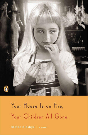 Your House Is on Fire, Your Children All Gone: A Novel,New