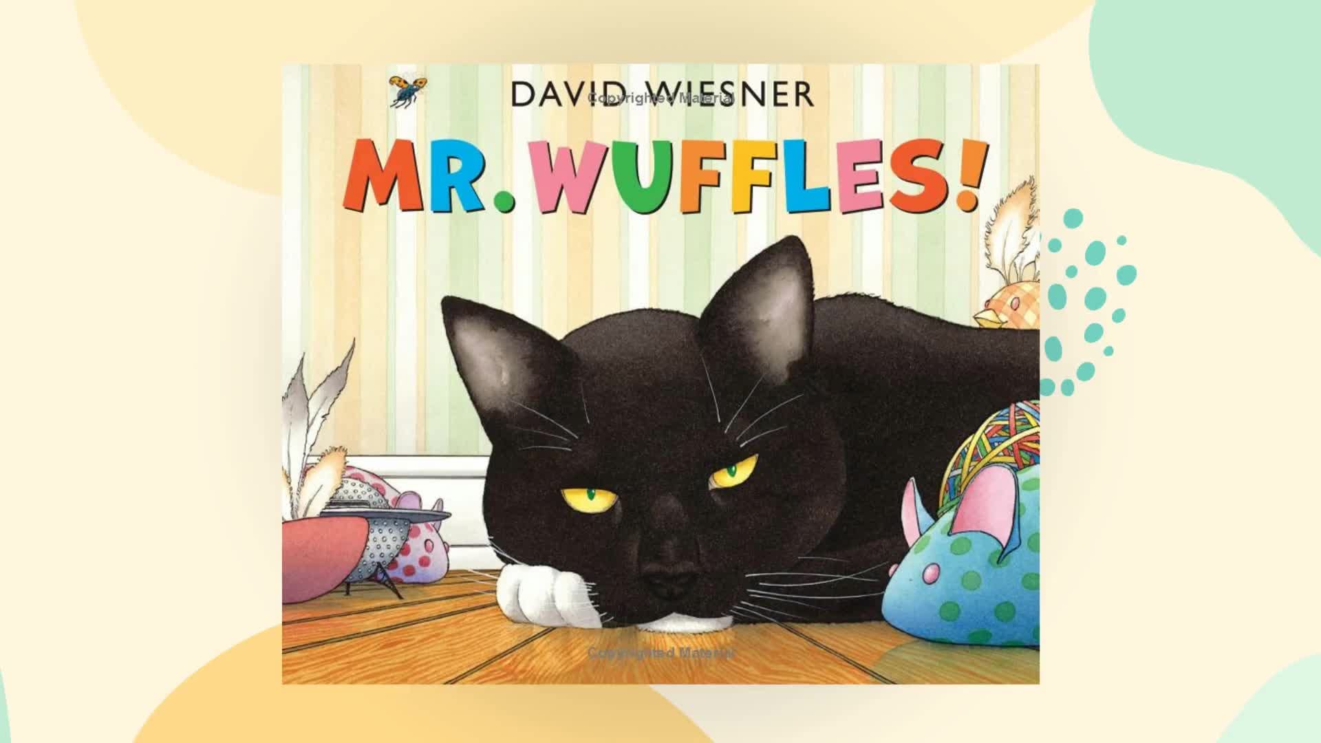 Mr. Wuffles!: A Caldecott Honor Award Winner (Caldecott Medal  Honors Winning Title(S)),Used
