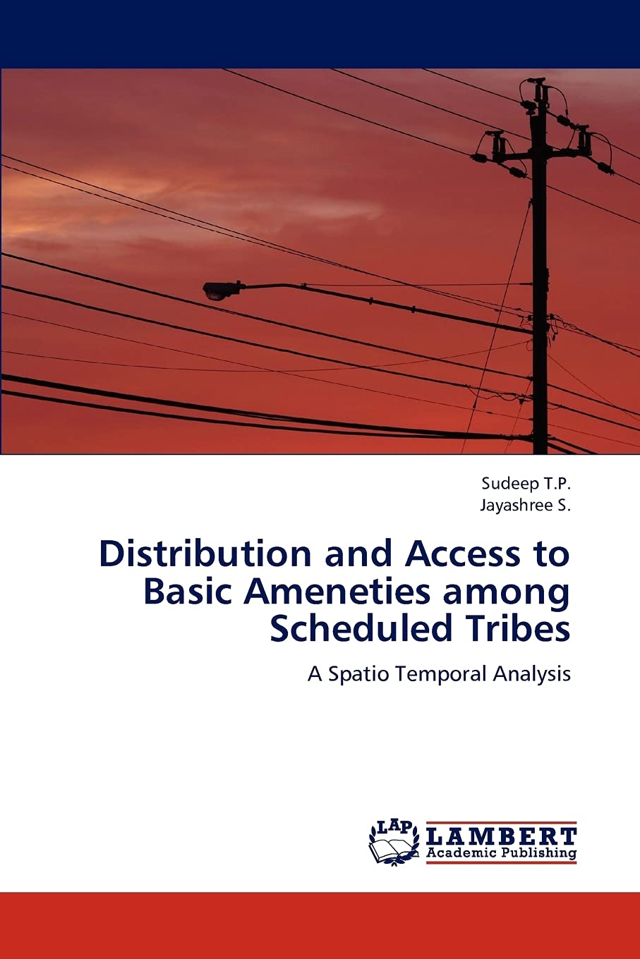 Distribution and Access to Basic Ameneties among Scheduled Tribes: A Spatio Temporal Analysis,Used