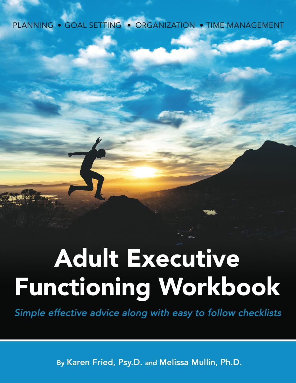 Adult Executive Functioning Workbook: Simple effective advice along with easy to follow checklists.,Used